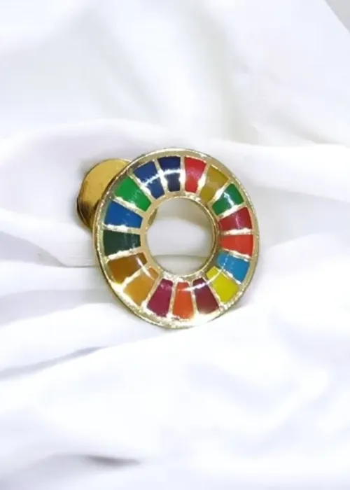 SDG Lapel Pin