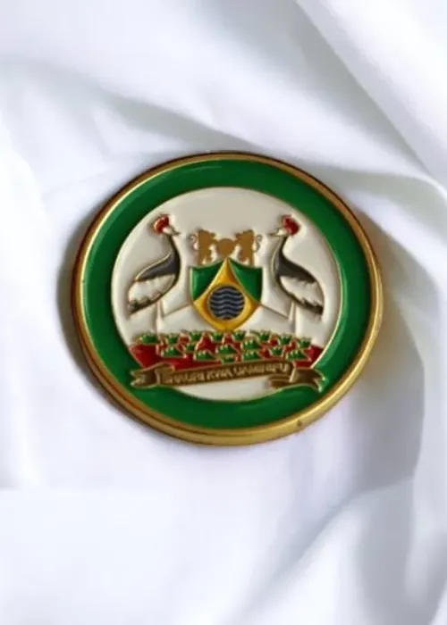 Nairobi City County Emblem Lapel Pin